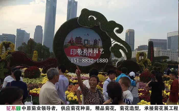 <b>菊花展定制 | 各类主题造型满足不同场景 - 花不同园艺</b>实景案例展示