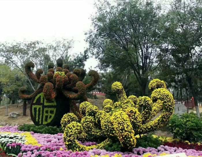 <b>菊花展制作7步流程 | 从方案到落地全掌握 - 花不同园艺</b>实景案例展示