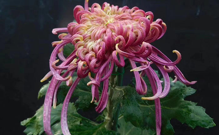 产品中心-产品实拍