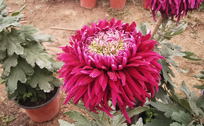 产品中心-产品实拍