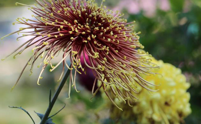 产品中心-产品实拍