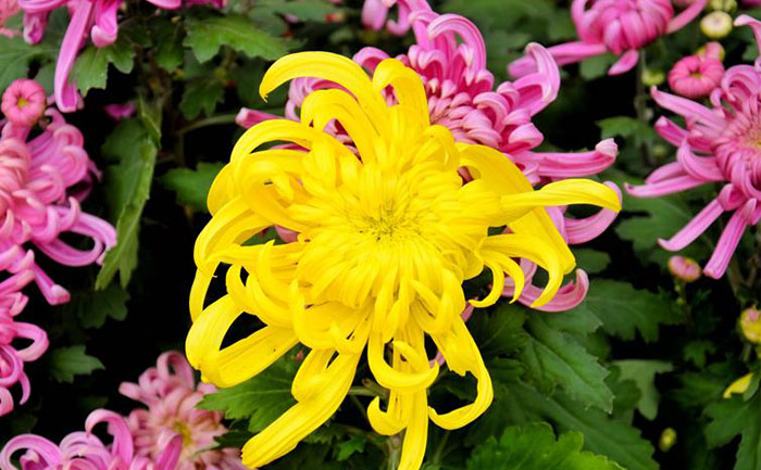 产品中心-产品实拍