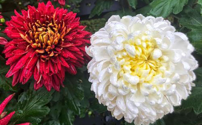 产品中心-产品实拍