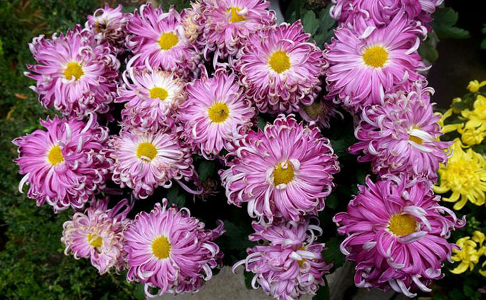 产品中心-产品实拍