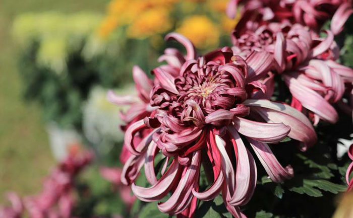 产品中心-产品实拍