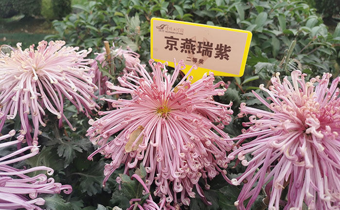 产品中心-产品实拍