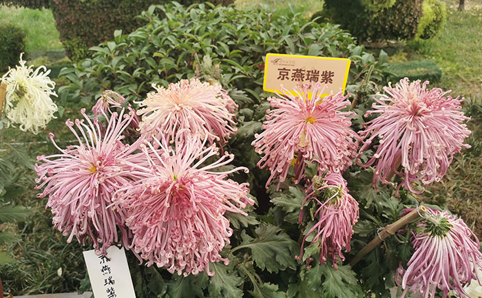 产品中心-产品实拍