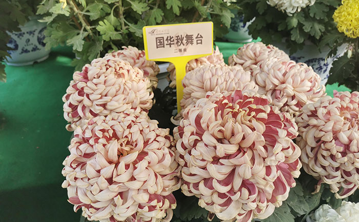 种植技术-产品实拍