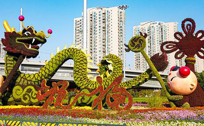 <b>五色草造型源头工厂 | 真实案例见证品质 - 花不同园艺</b>实景案例展示
