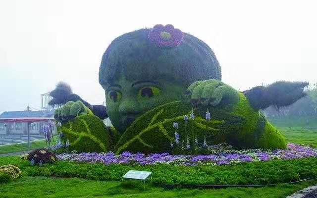 立体花坛的分类,立体花坛有哪些类型