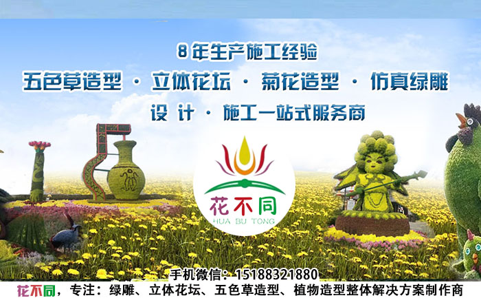 五色草造型制作公司