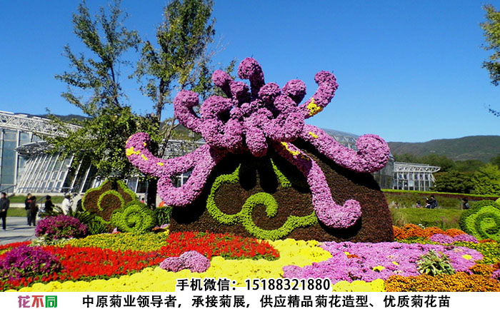 以菊花为主题的菊花造型