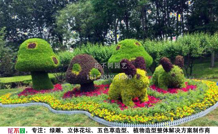 立體綠雕-山東淄博園藝植物綠雕立體花壇制作施工那些事兒
