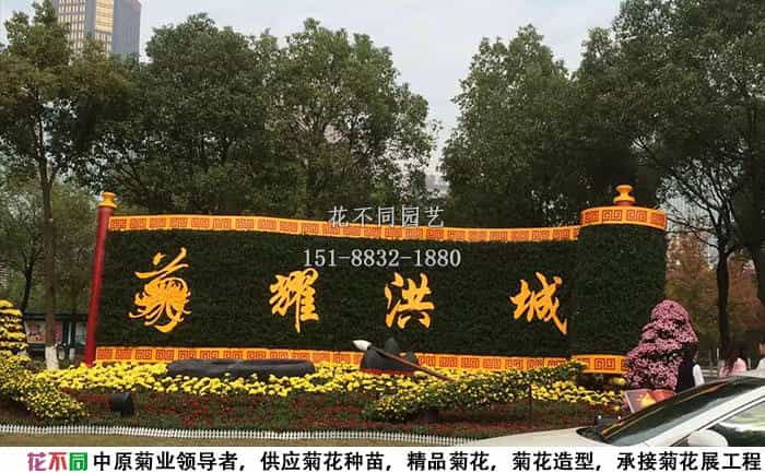 菊花展报价明细 | 分项计价拒绝隐形收费 实景图案例