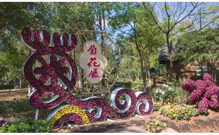 菊花展设计方案 | 让游客眼前一亮的创意呈现 实景图案例