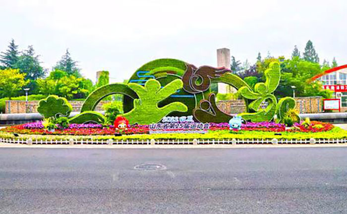 五色草种苗批发 | 品种纯正发芽率高厂家直发