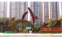 <b>湖北武汉-生态江夏，菊颂金秋大型五色草造型雕</b>