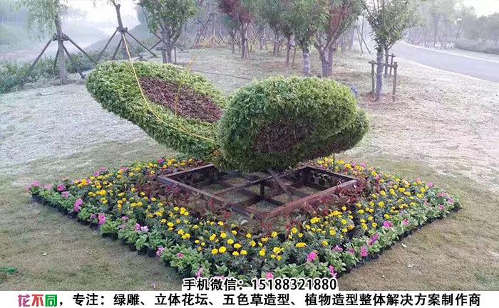 动物精光绿雕造型-蝴蝶现场实拍图片