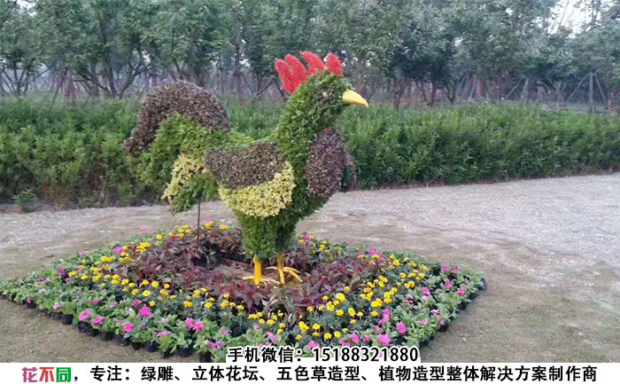 动物景观绿雕造型-公鸡现场实拍图片
