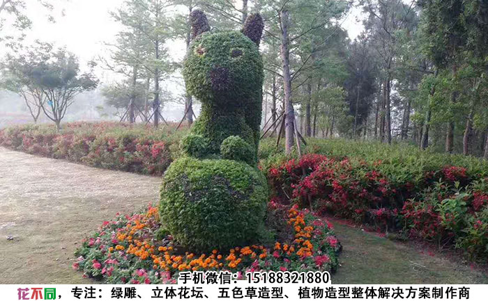动物景观绿雕造型-松鼠现场实拍图片