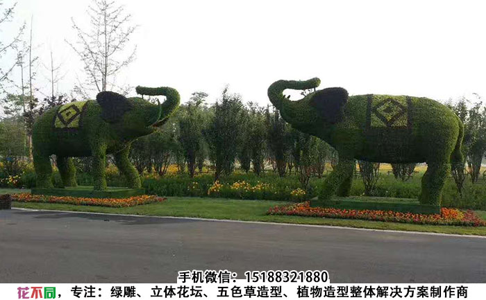 动物景观绿雕造型-大象现场实拍图片