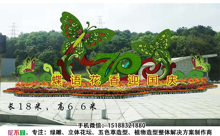 国庆主题五色草造型设计图-蝶语花香迎国庆