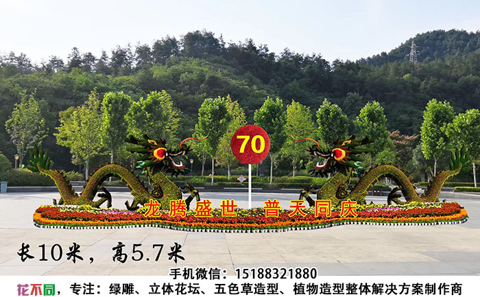 国庆主题五色草造型设计图-龙腾盛世,普天同庆