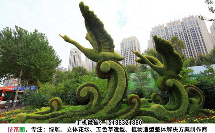公园景区五色草造型设计图-蝴蝶翻飞造型