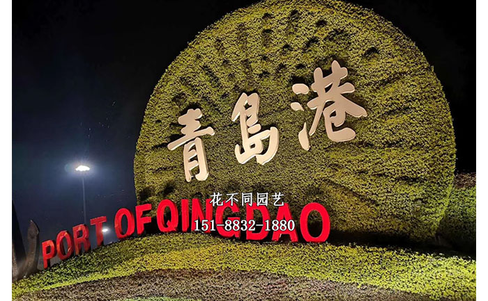 山东青岛八一建军节五色草造型夜晚亮化实拍图