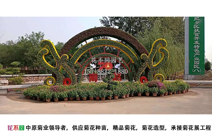 南阳菊花展造型设计图
