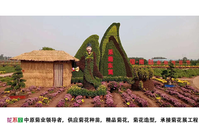菊花展造型-采菊东篱
