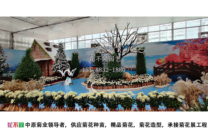 湖北菊花花会多头菊展区