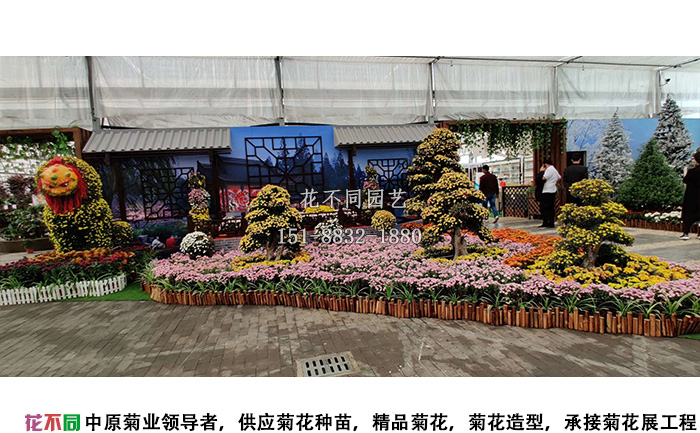 湖北菊花展菊花造型展区设计图