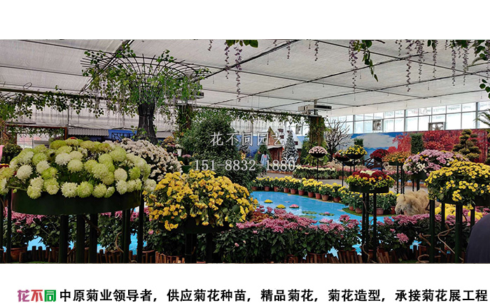 湖北菊花花会主会场设计方案