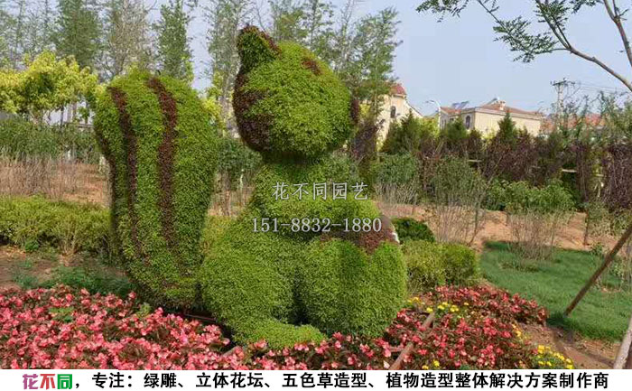 动物绿雕造型-松鼠设计图