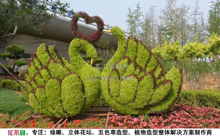 动物绿雕造型-天鹅设计图