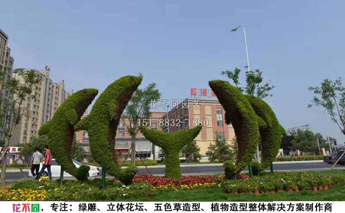 动物绿雕造型-海豚现场实拍图