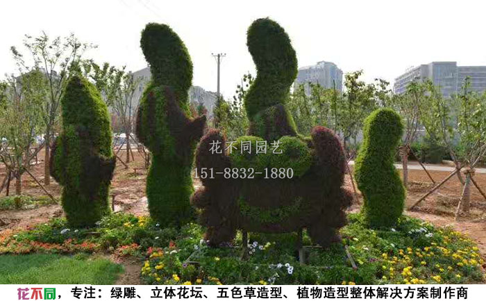 动物绿雕造型-螃蟹实拍图片