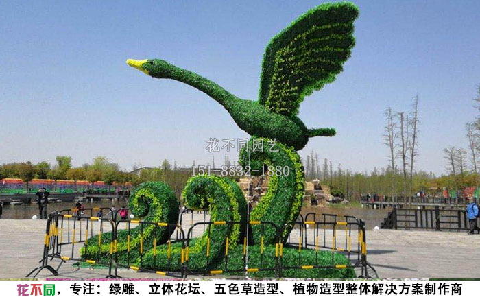 植物绿雕动物造型-天鹅实拍图