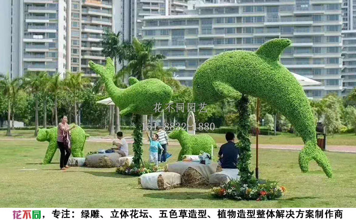 植物绿雕动物造型-海豚实拍图