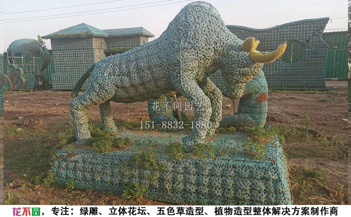 植物绿雕动物造型骨架-公牛现场实拍图