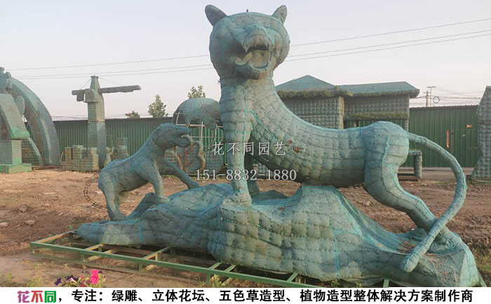 植物绿雕动物造型骨架-老虎现场实拍图