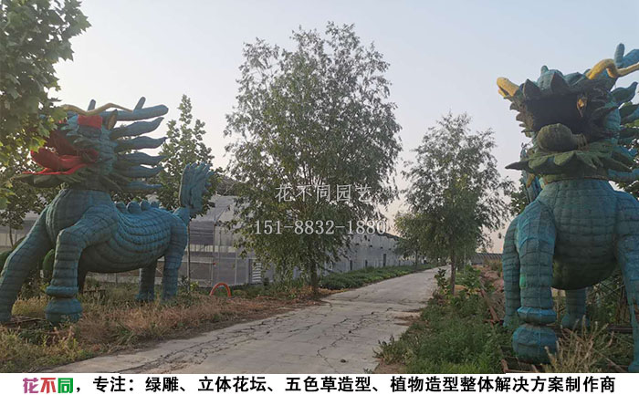 植物绿雕动物造型骨架-麒麟现场实拍图
