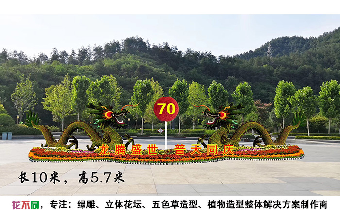 国庆主题五色草造型设计图-龙腾盛世，普天同庆