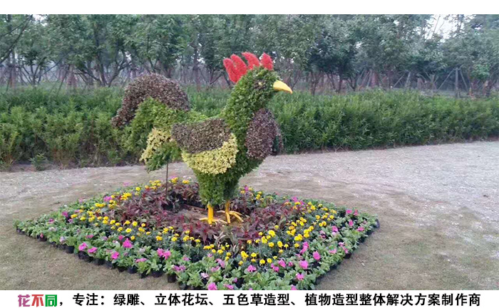 动物景观绿雕造型-公鸡现场实拍图片