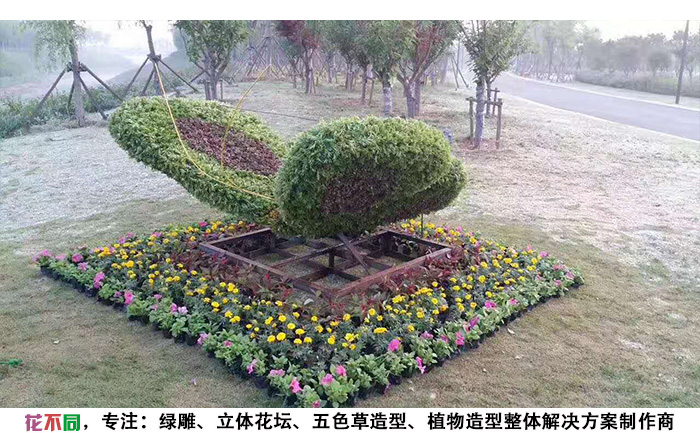 动物精光绿雕造型-蝴蝶现场实拍图片