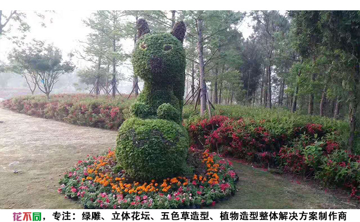 动物景观绿雕造型-松鼠现场实拍图片