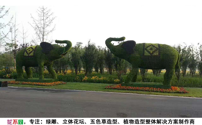 动物景观绿雕造型-大象现场实拍图片
