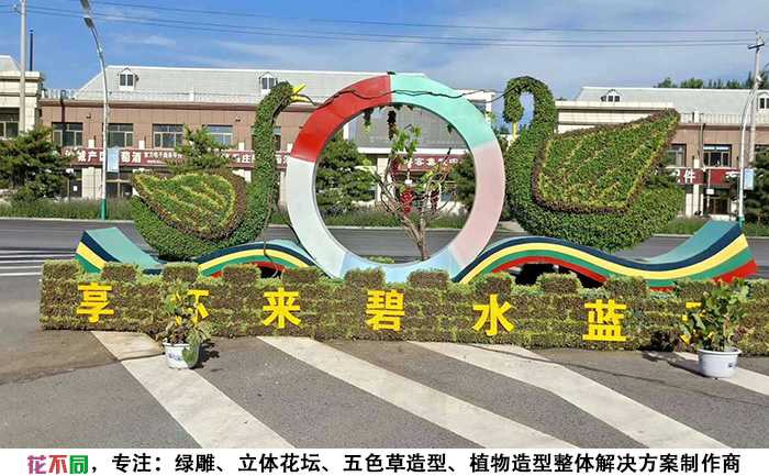 河北张家口天鹅植物绿雕现场实拍图片