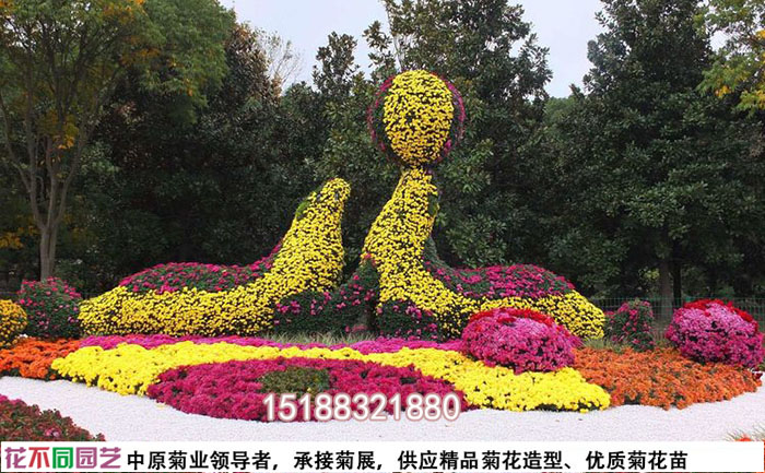 开封菊花种植基地里的菊花造型